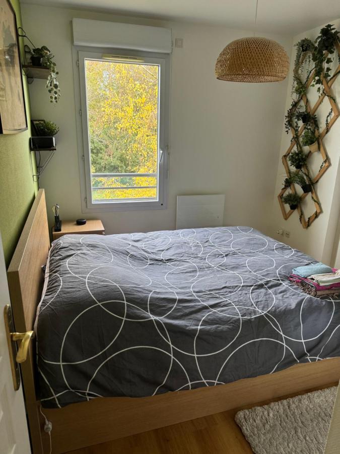 Appartement Centre Avec Balcon Parking Prive Orleans Ngoại thất bức ảnh